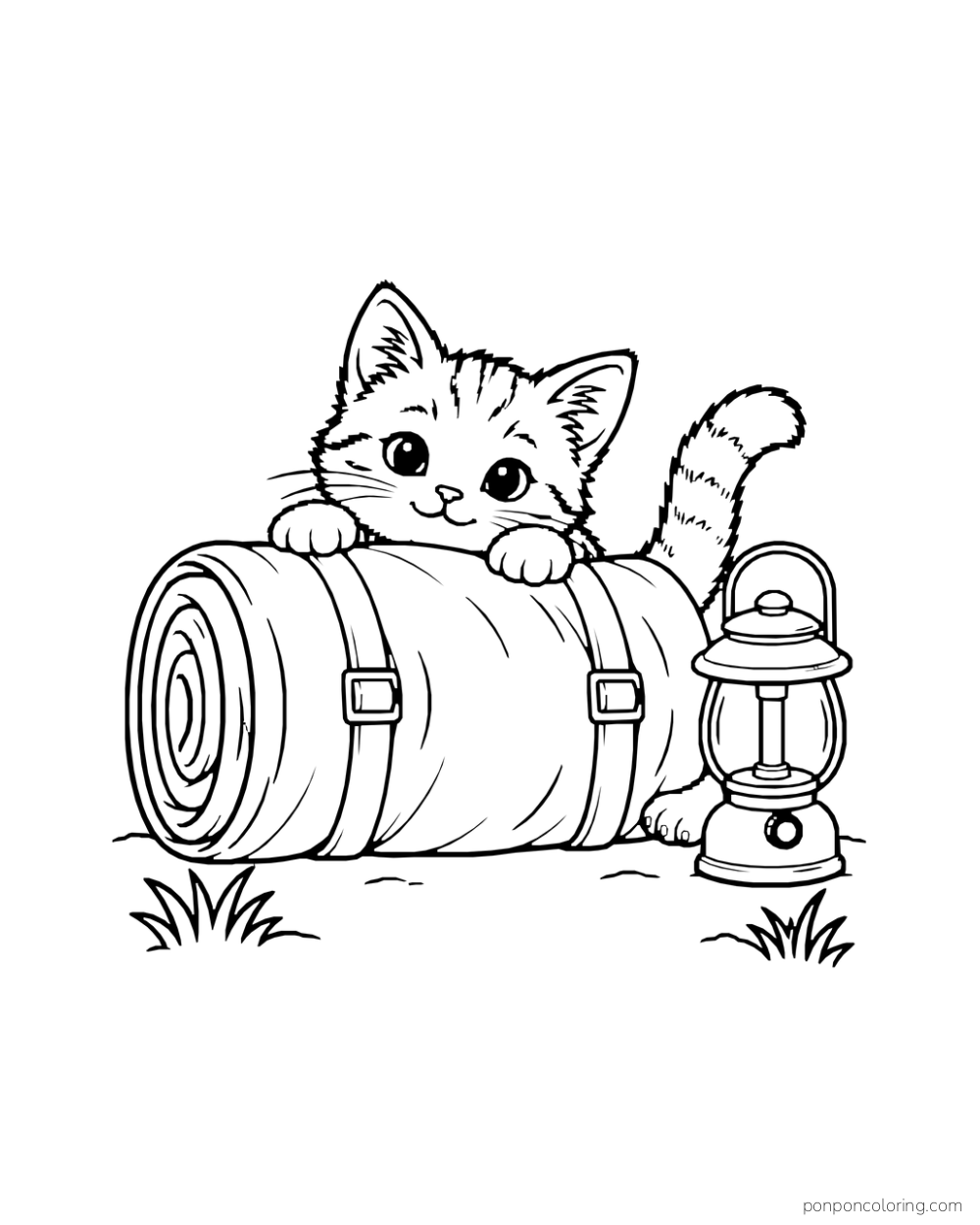A kitten peeks over a rolled sleeping mat beside a rounded lantern.