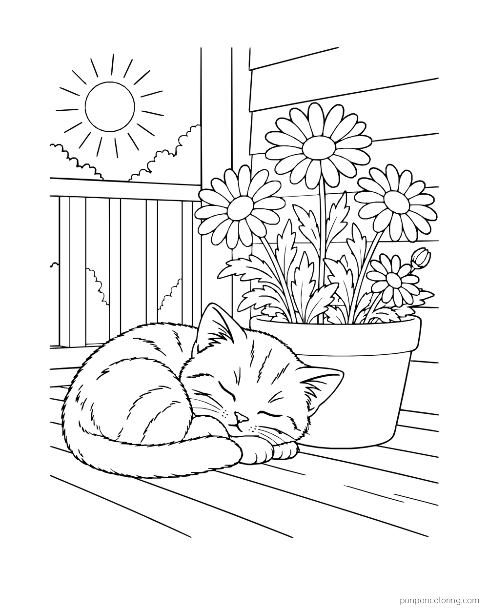 A striped kitten naps on a porch beside a pot of daisies in the sun.