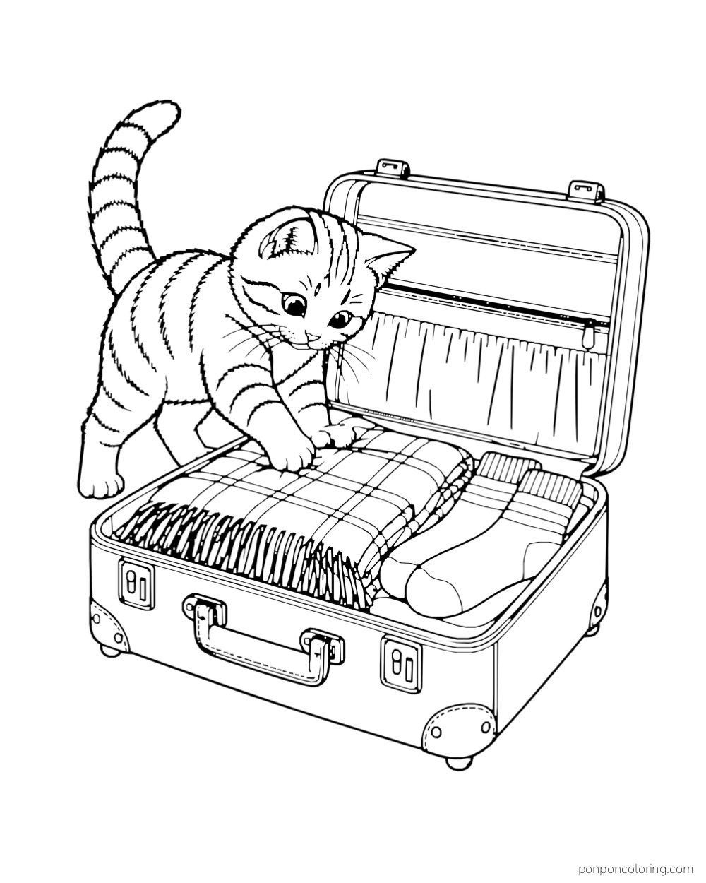 A kitten steps into an open suitcase with a folded scarf and socks.