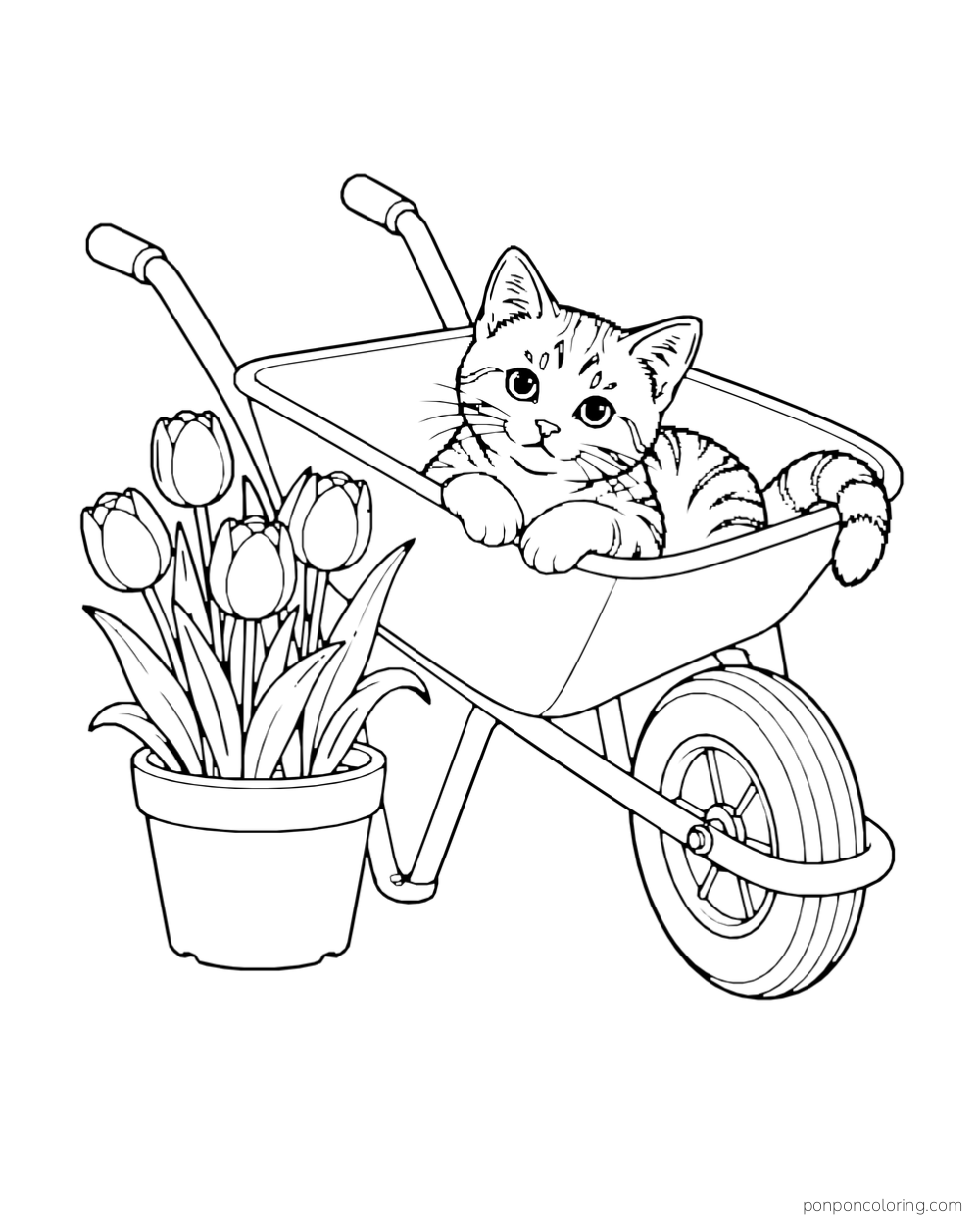 A kitten rests in a wheelbarrow beside a pot of tulips.