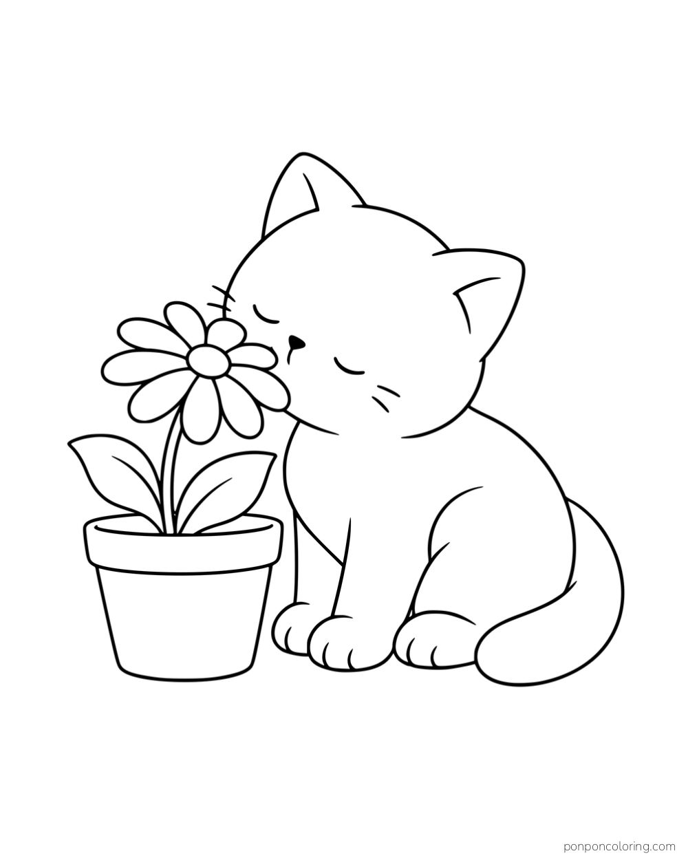 A kitten sniffing a daisy in a flowerpot.