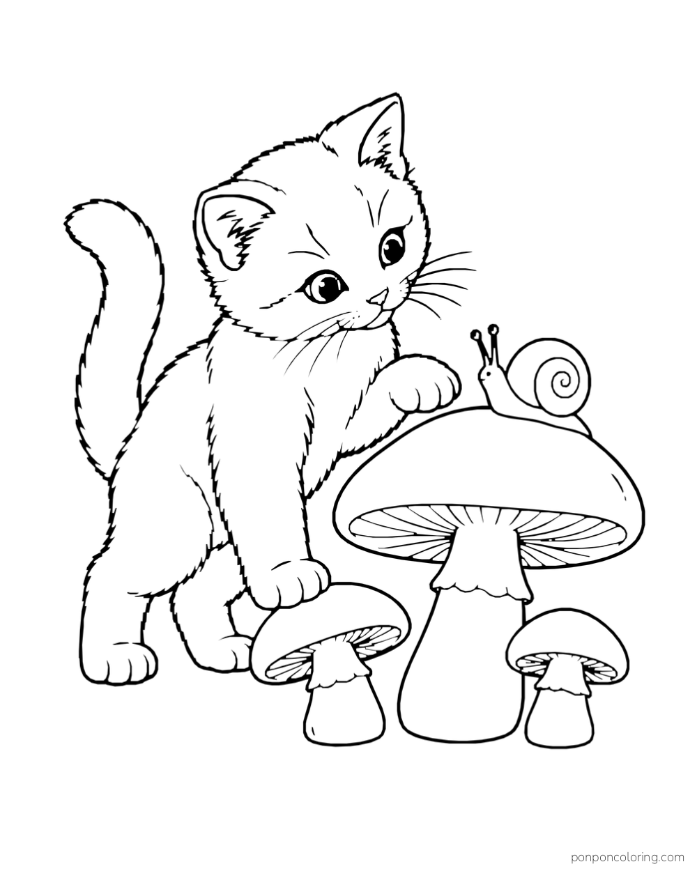 A kitten looks at a snail on a large mushroom beside two smaller mushrooms.