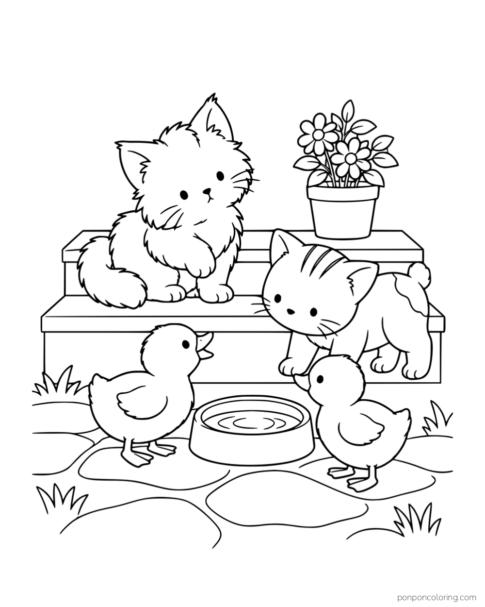 Two different kittens meeting two ducklings beside porch steps and a water bowl.