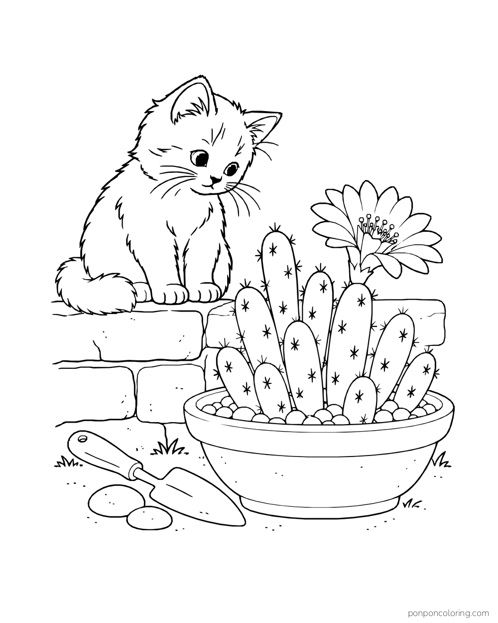 A kitten sits on a low wall beside a flowering cluster of peanut cacti in a bowl.