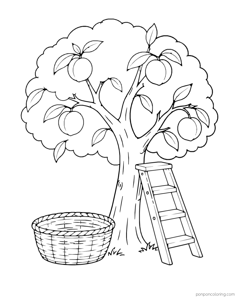 Short wooden ladder beside a rounded peach tree with an empty basket below.