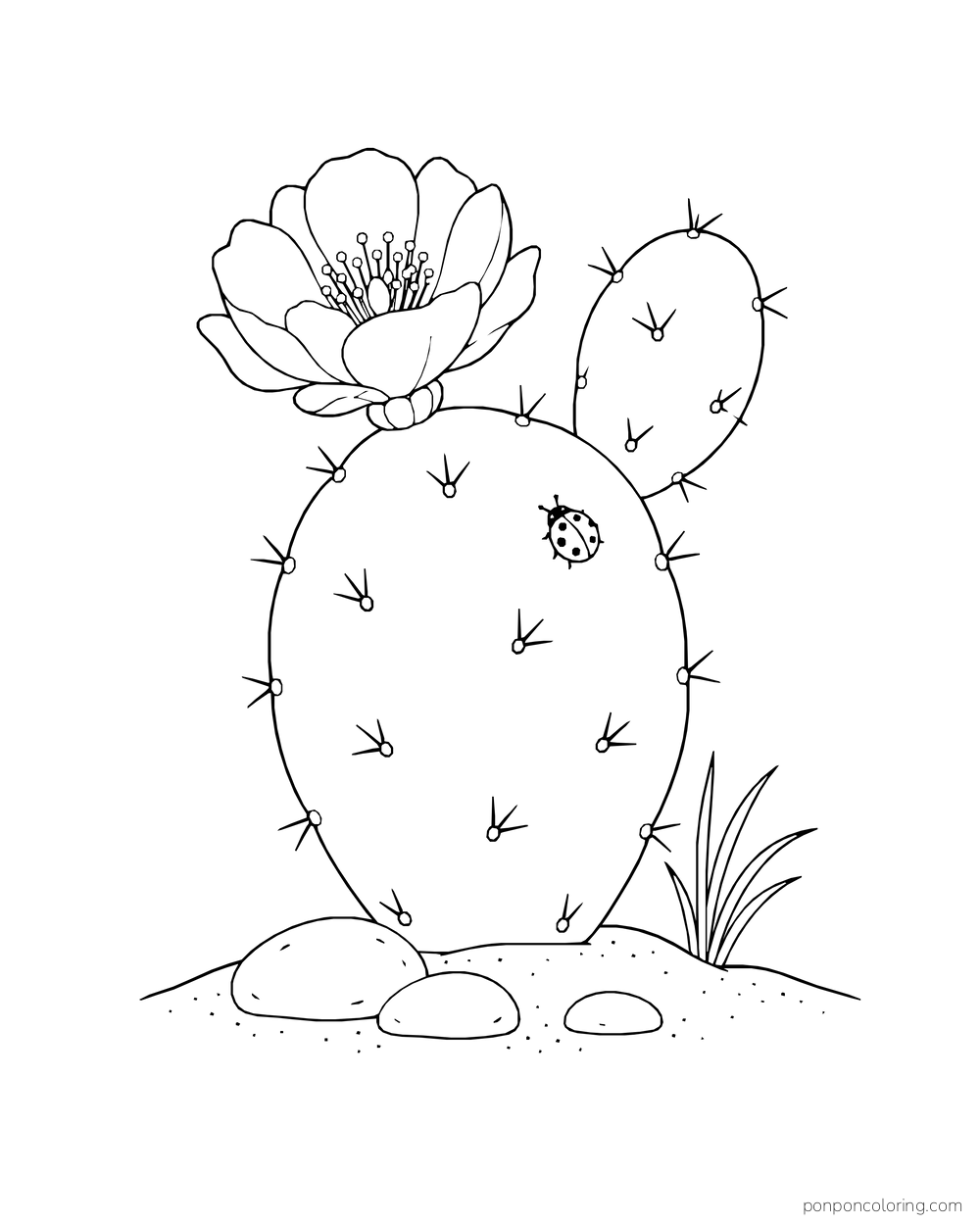 A ladybug rests on a broad prickly pear pad beneath a large flower.
