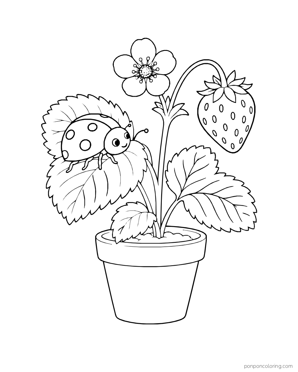 A ladybug rests on a large strawberry leaf above a potted plant and one ripe berry.