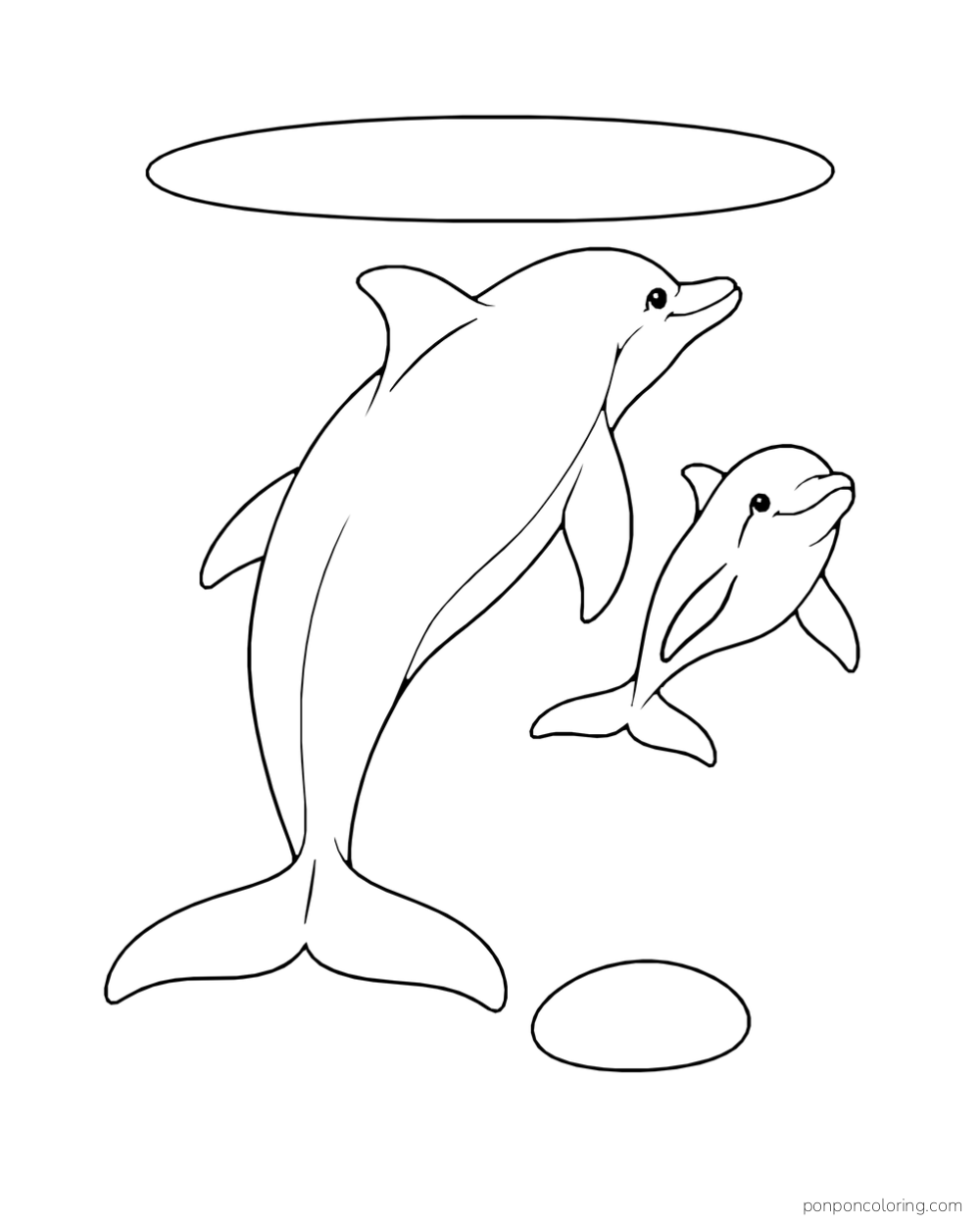 A large dolphin and a smaller dolphin swim upward below a broad oval band, with one small stone beneath them.