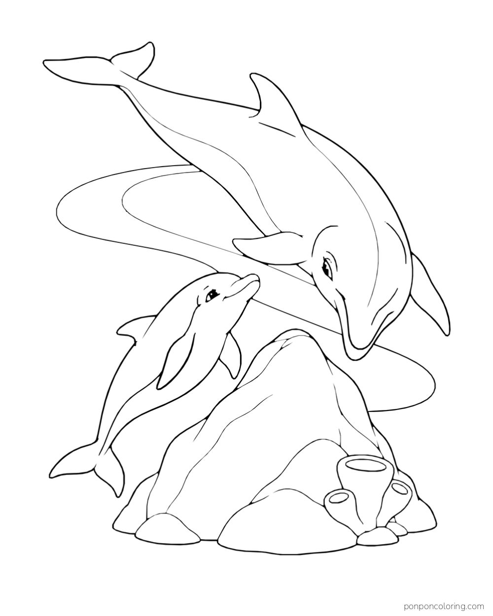 A large dolphin and a smaller dolphin turn toward each other above a smooth rock with a cup-shaped sponge.