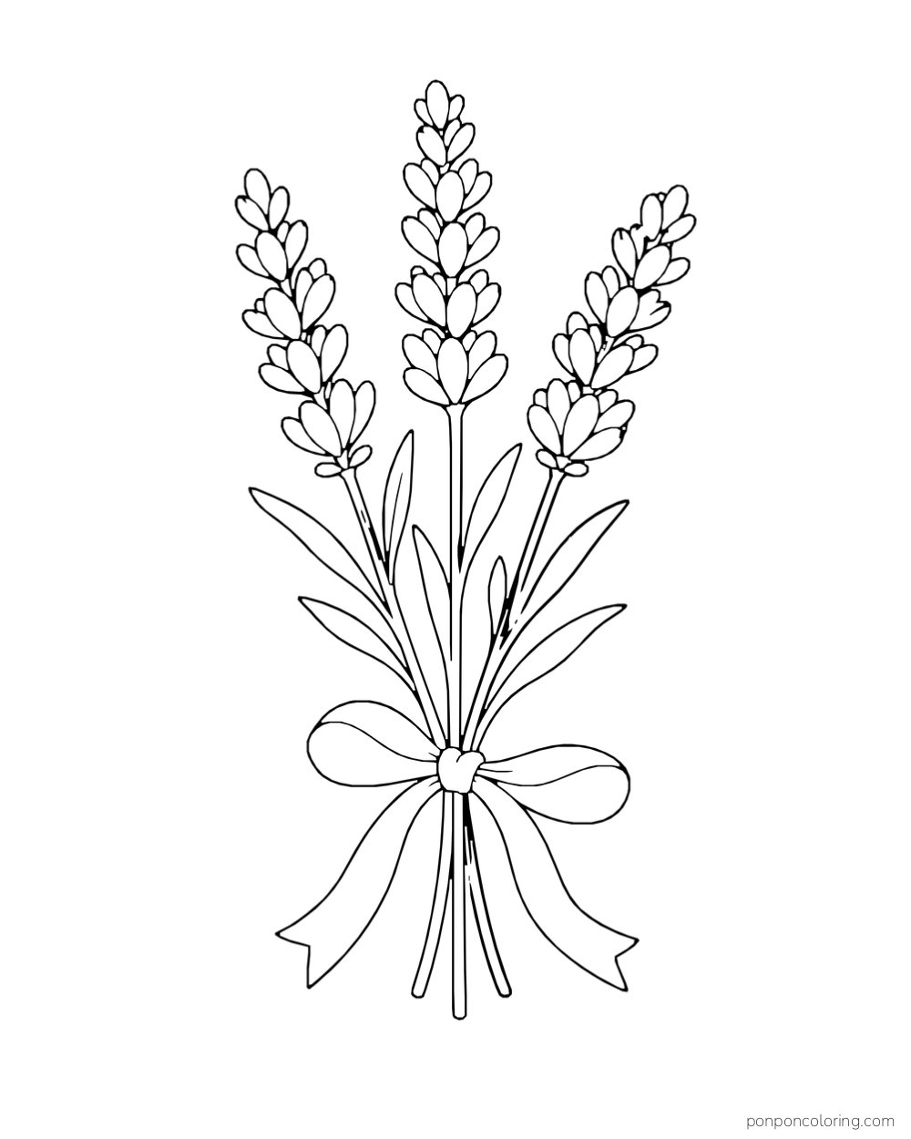 Three lavender spikes and narrow leaves are tied together with a loose ribbon bow.