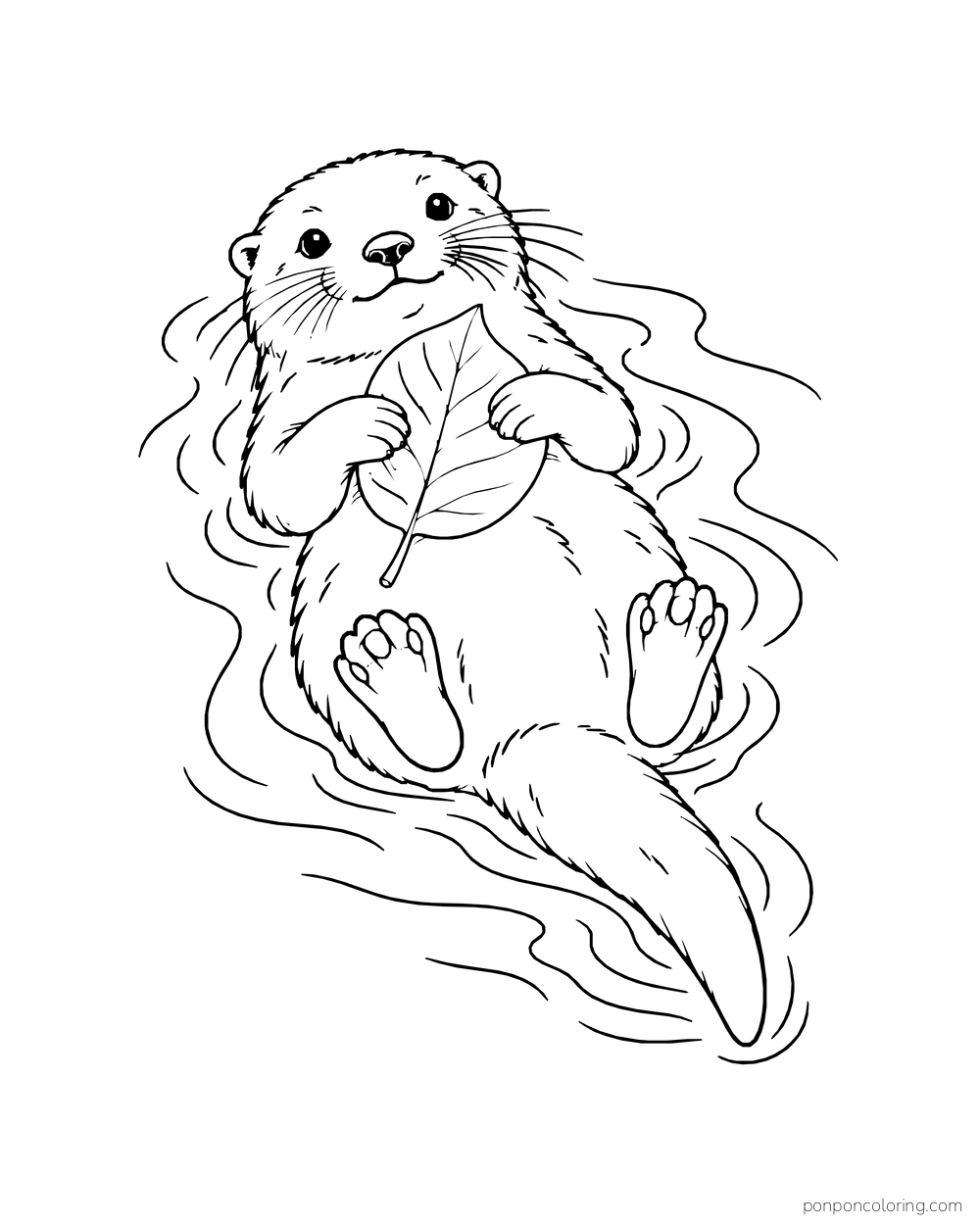 Otter floating on its back while holding a single leaf among water ripples.