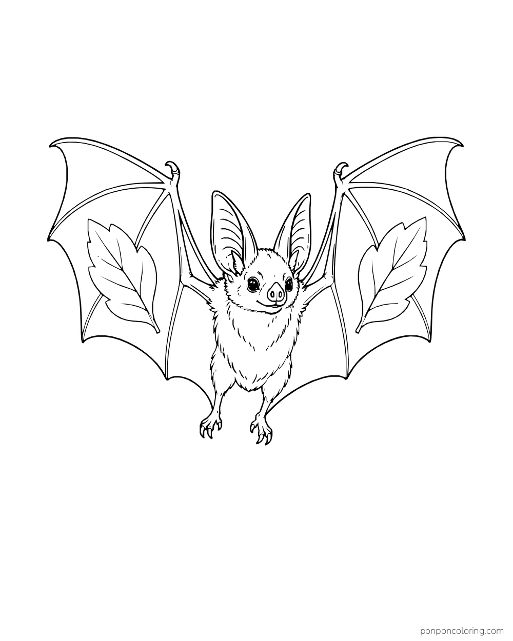 A bat spreads both wings, each with one large outlined leaf motif.