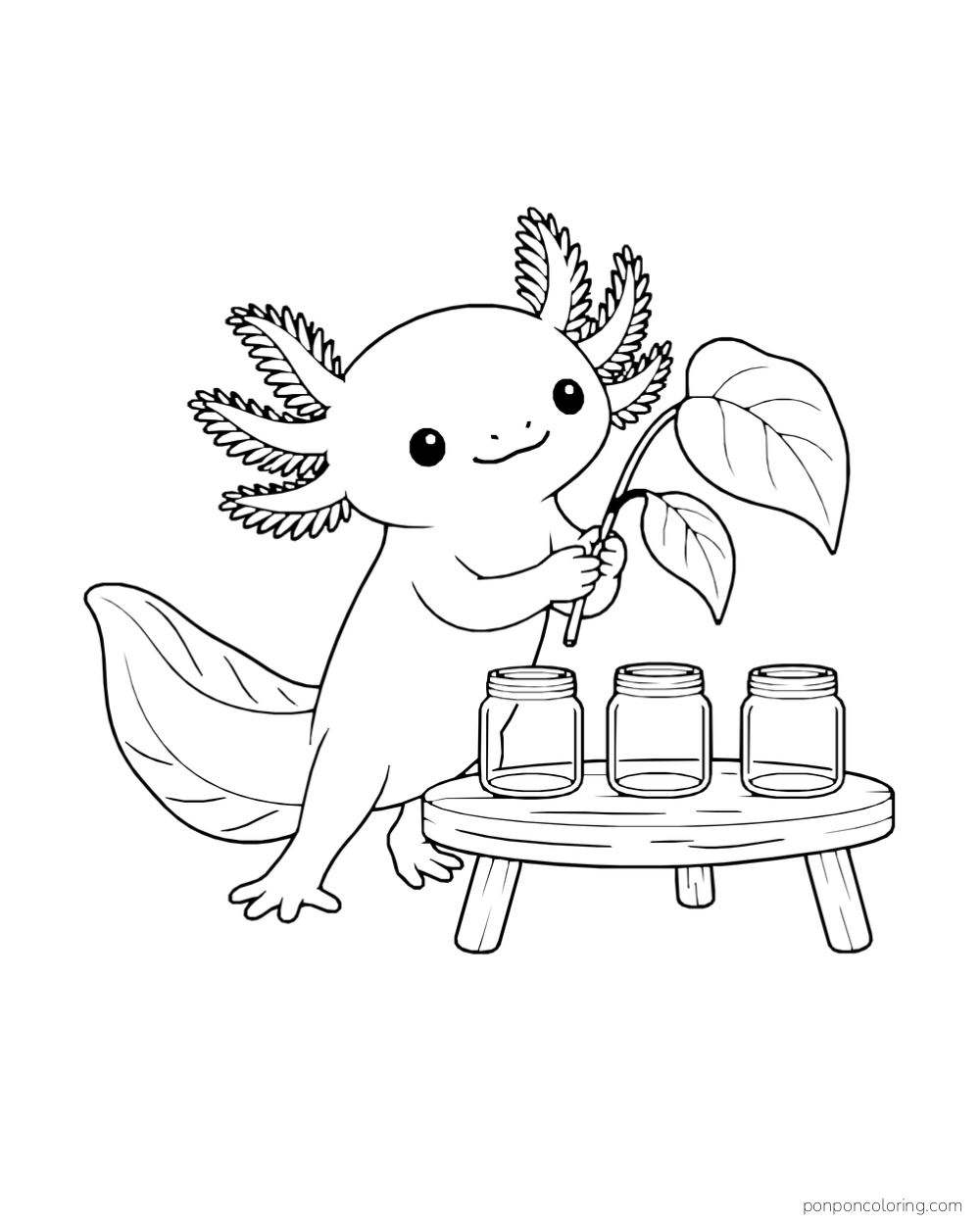 Axolotl holding a leafy sprig over three empty jars on a low table.
