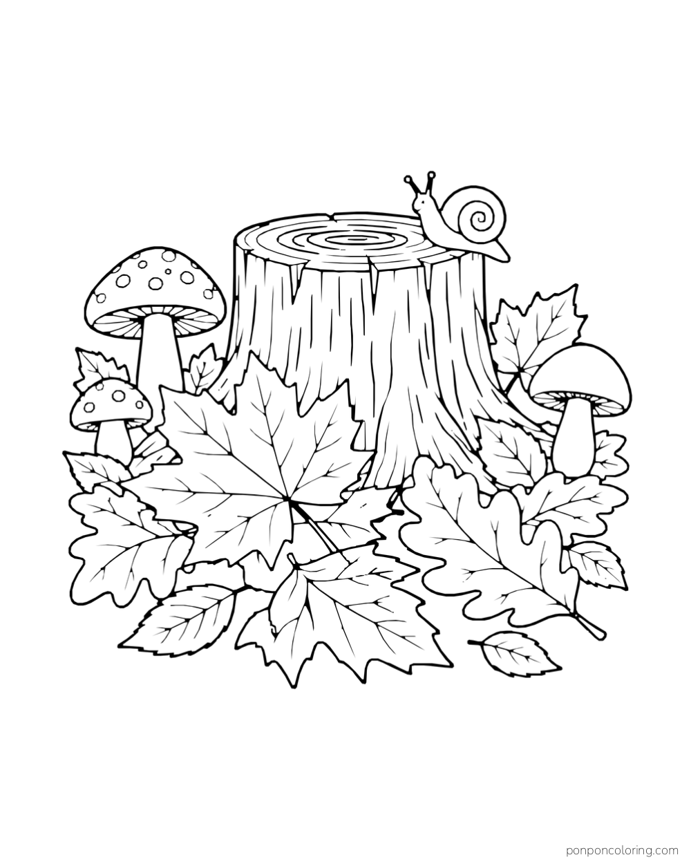 Broad leaves and mushrooms surround a tree stump with a small snail on top.