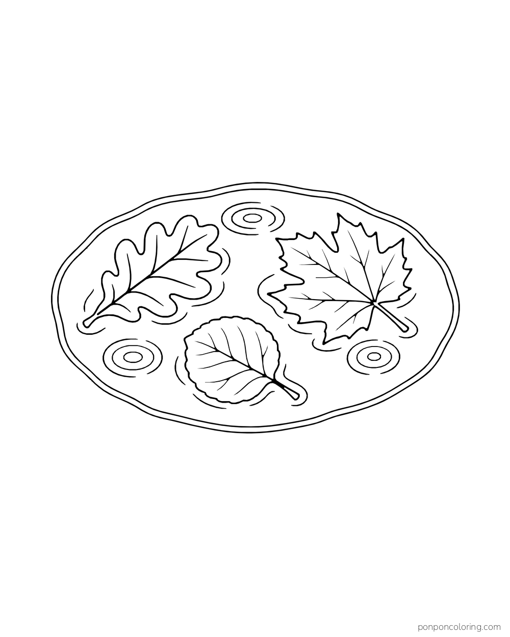 Overhead view of three autumn leaves floating in a round puddle.
