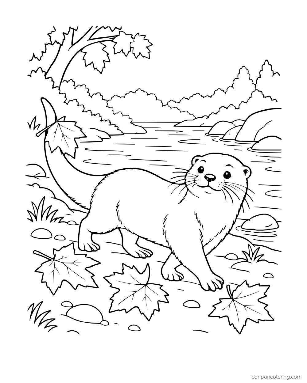 Otter walking past fallen maple leaves with one leaf caught on its tail.