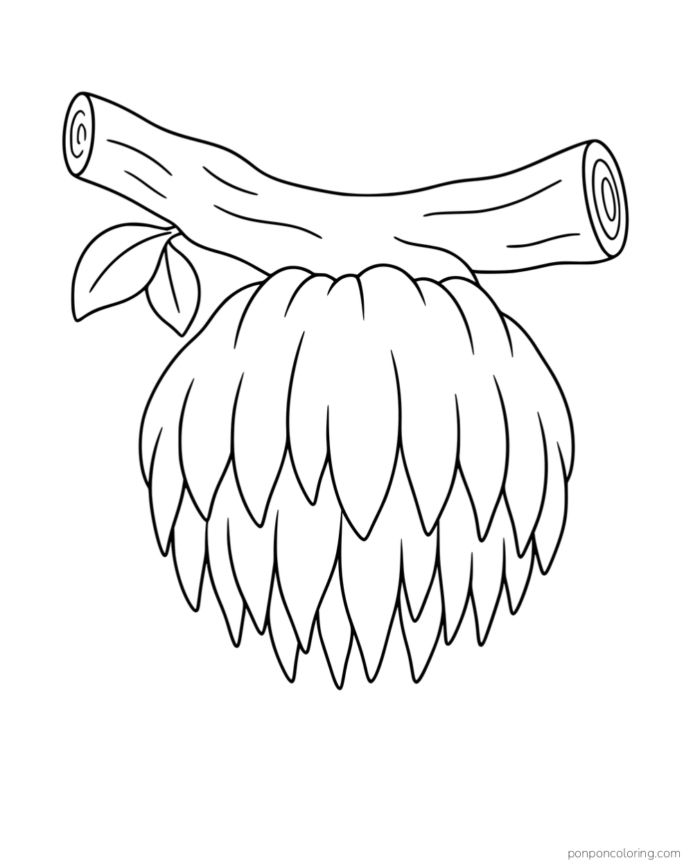 A rounded lion's mane mushroom with hanging pointed teeth beneath a branch with two leaves.