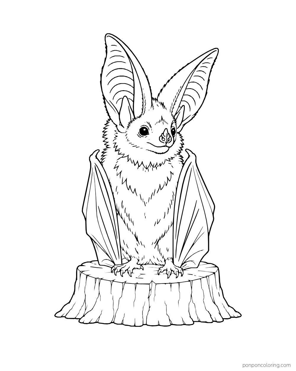 A long-eared bat sits on a low tree stump with its wings folded beside its body.