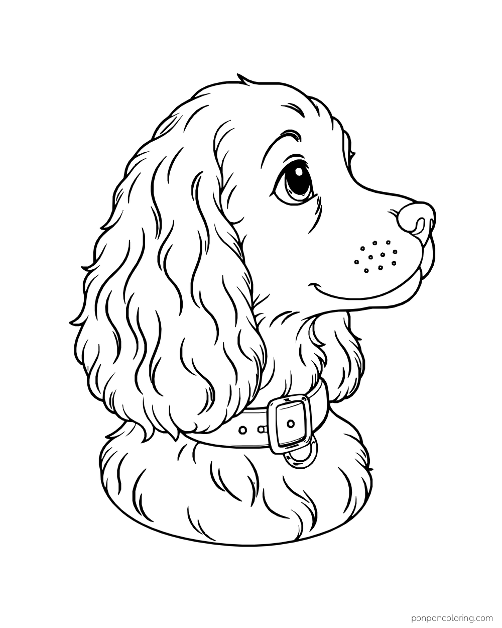 A long-eared puppy in side profile wears a broad collar and looks to the right.
