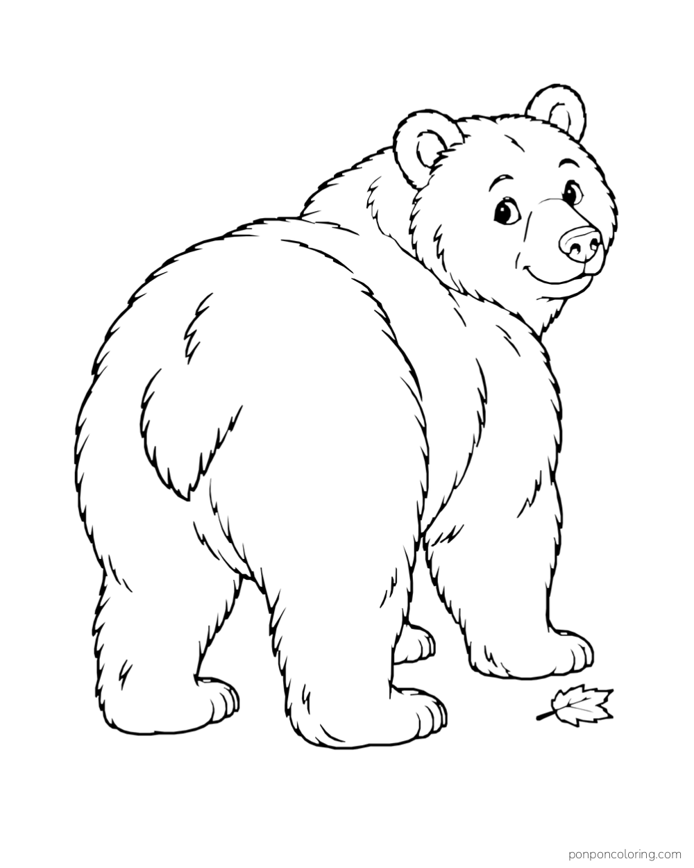 A four-paw bear turns its head back toward the viewer, showing its rounded back and paws.