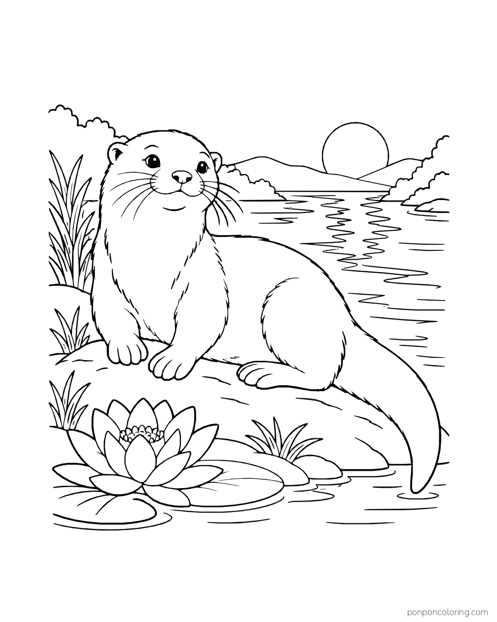 Otter resting on a bank beside a lotus flower as the sun sets over water.