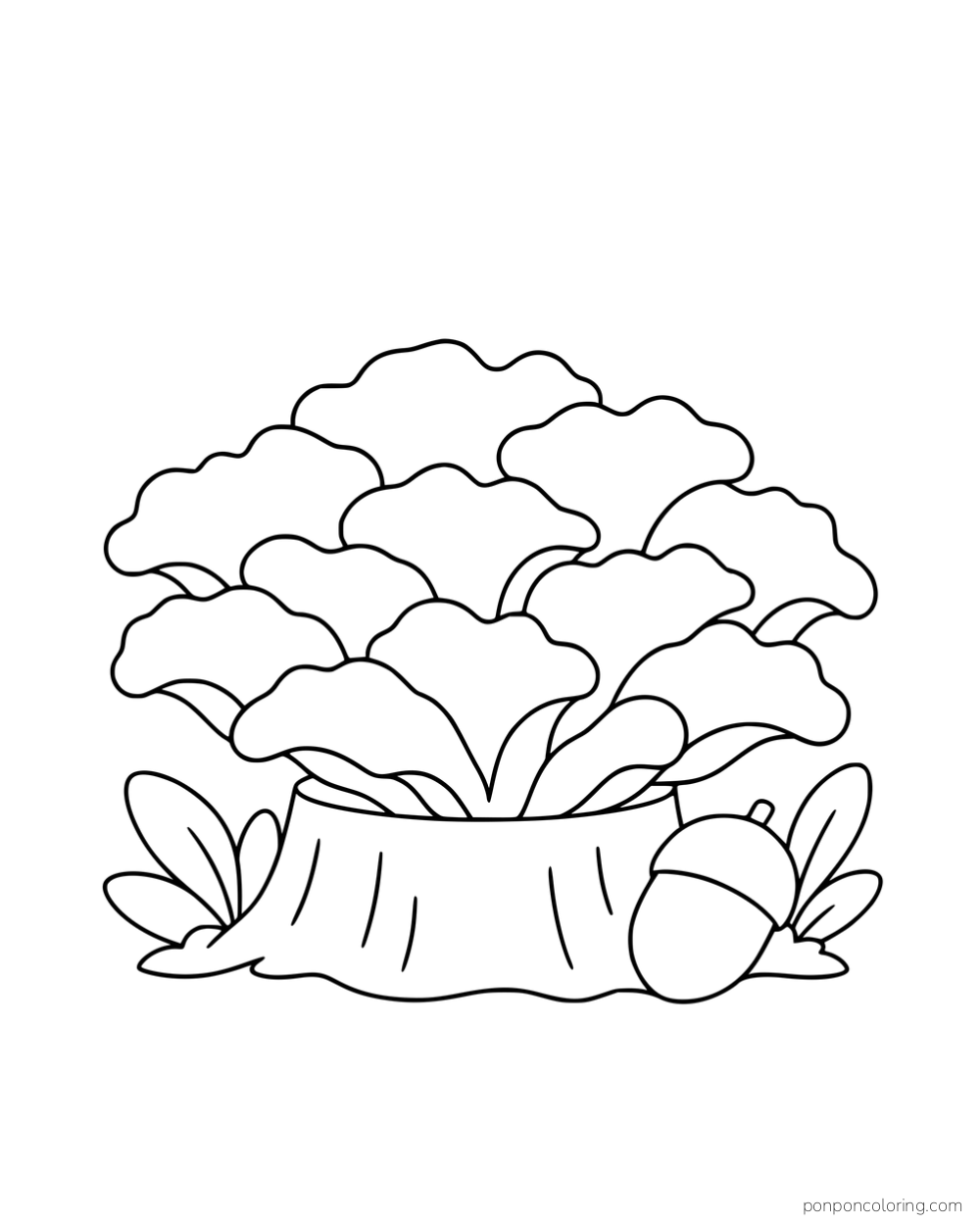A cluster of overlapping maitake fans above a small stump beside an acorn and leaves.