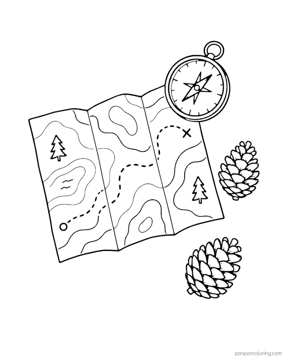From above, a folded trail map lies beside a compass and two pinecones.