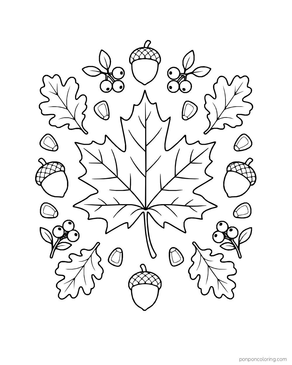 A large maple leaf is surrounded by acorns, berries and oak leaves.