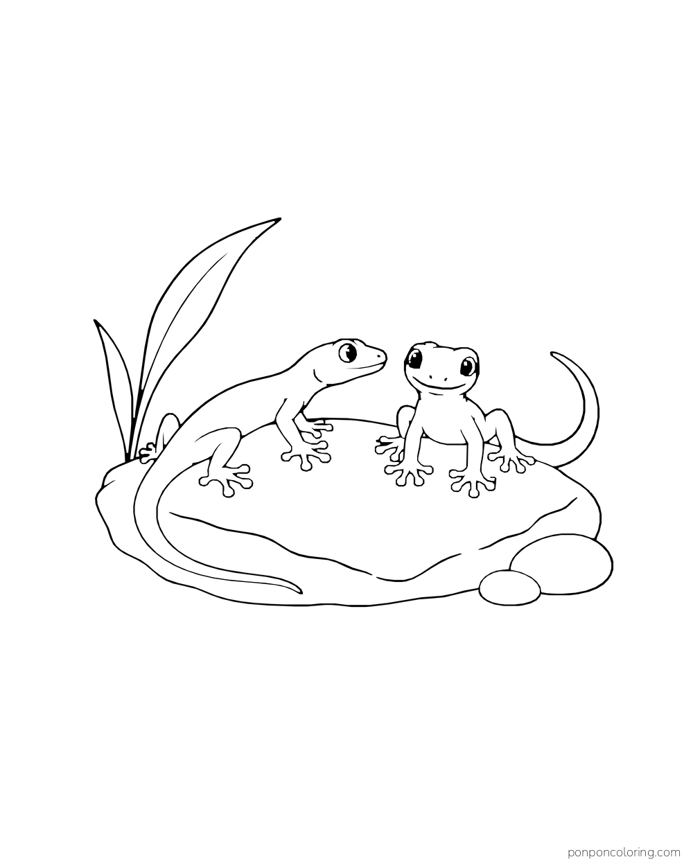 Two geckos face each other on a flat rock beside tall leaves and smooth pebbles.