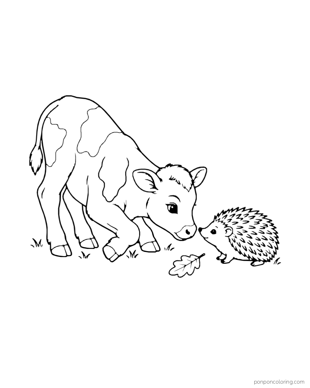 A calf lowers its head toward a hedgehog beside a fallen leaf.