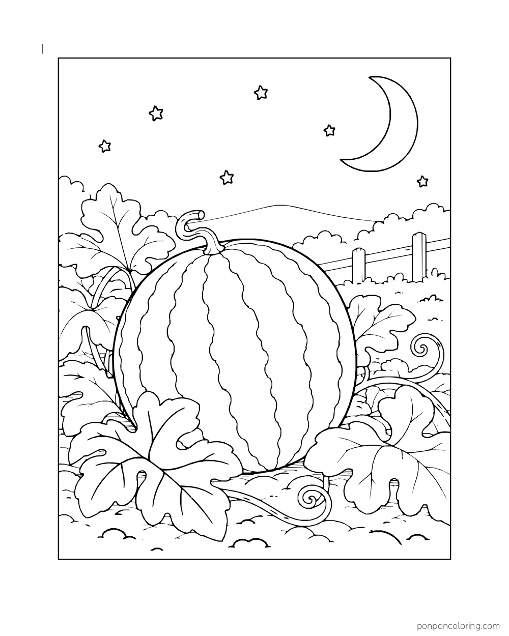 A whole striped watermelon among vine leaves beneath a crescent moon and small stars.