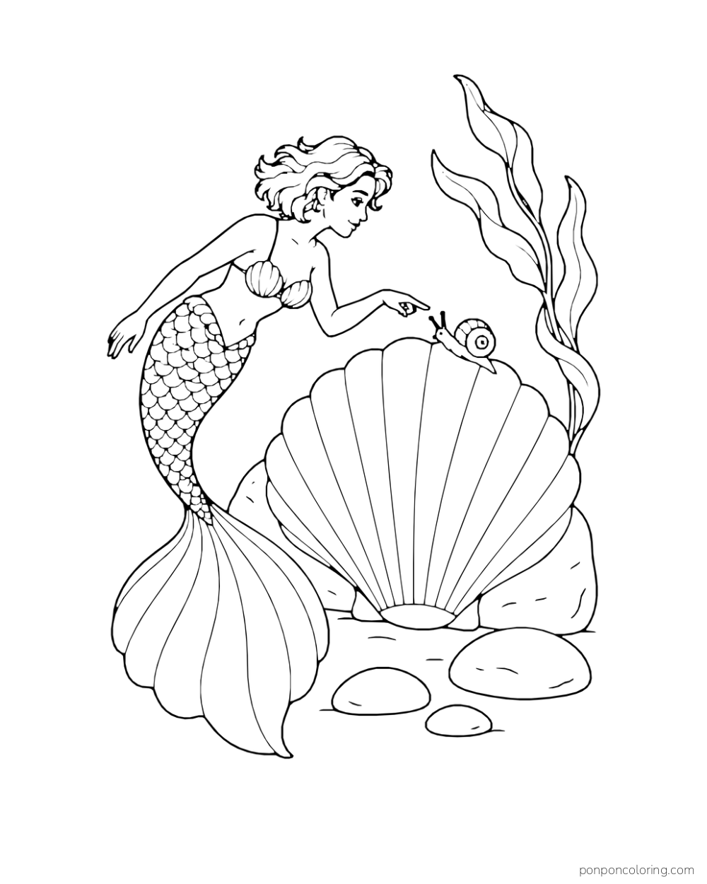 A short-haired mermaid points toward a small spiral-shell sea snail crossing a large scallop shell beside broad kelp leaves.