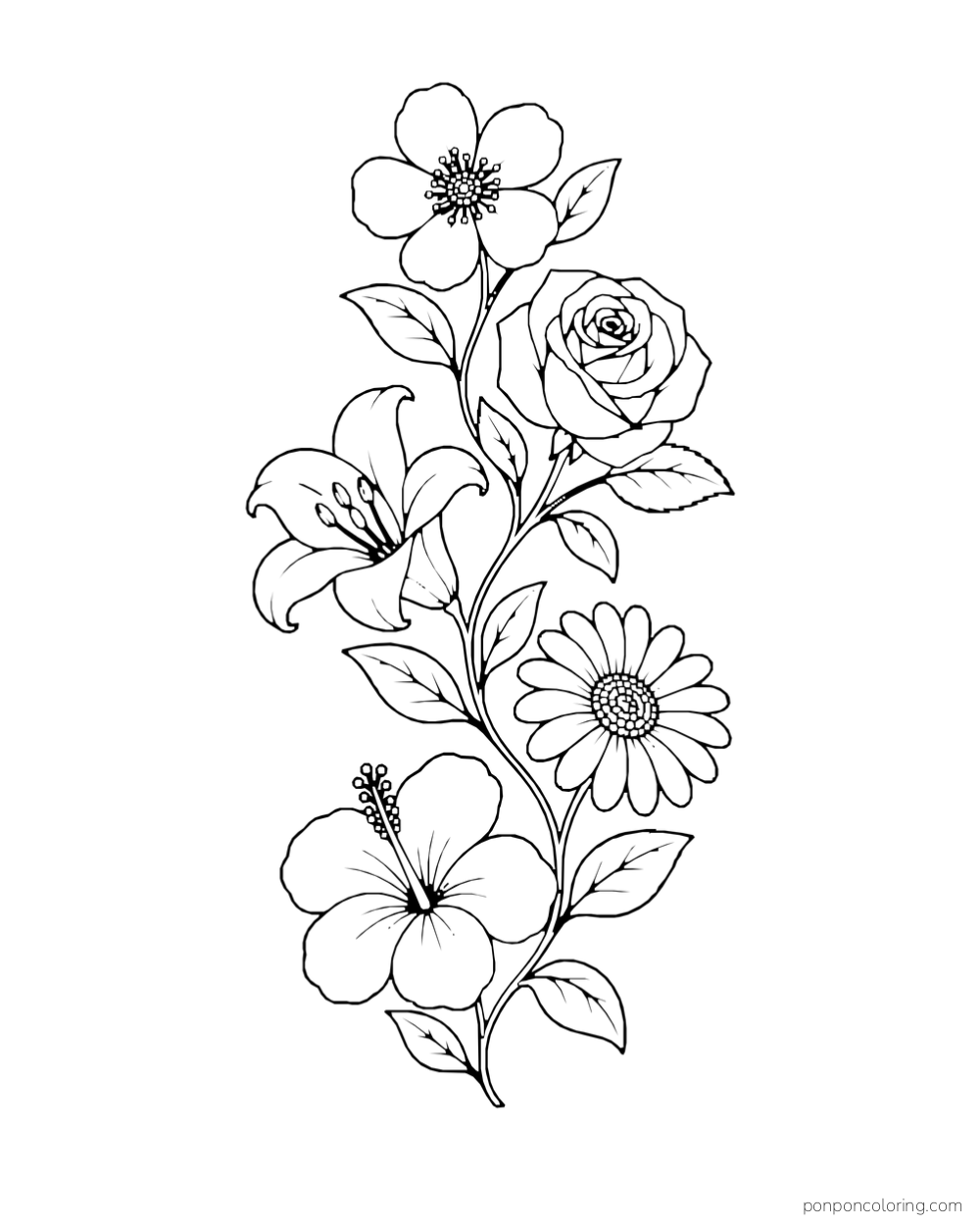 A rose, lily, daisy, hibiscus, and small open flower decorate a tall curving leafy vine.