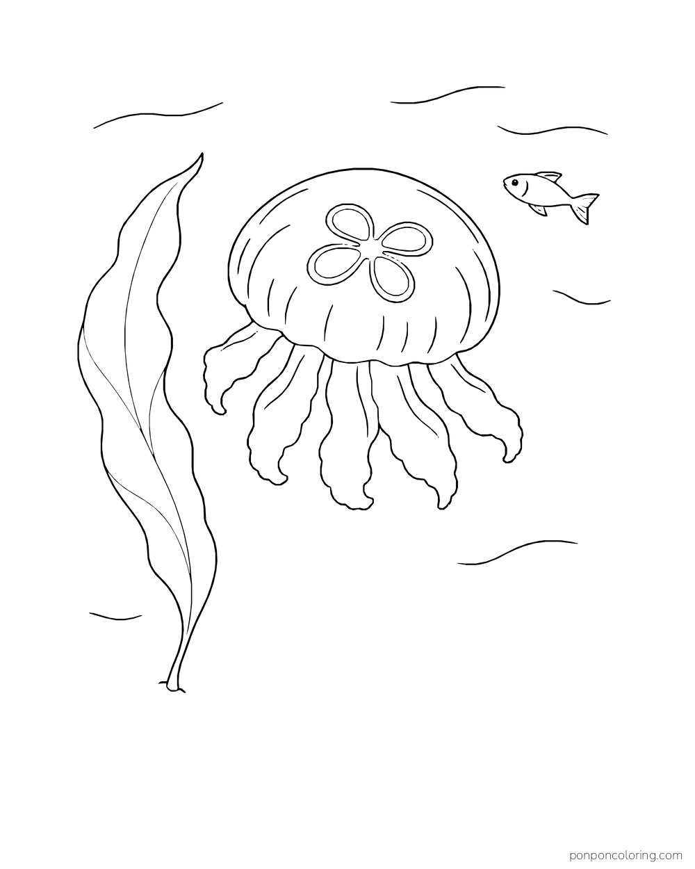 A jellyfish drifts beside one seaweed frond and a small fish.