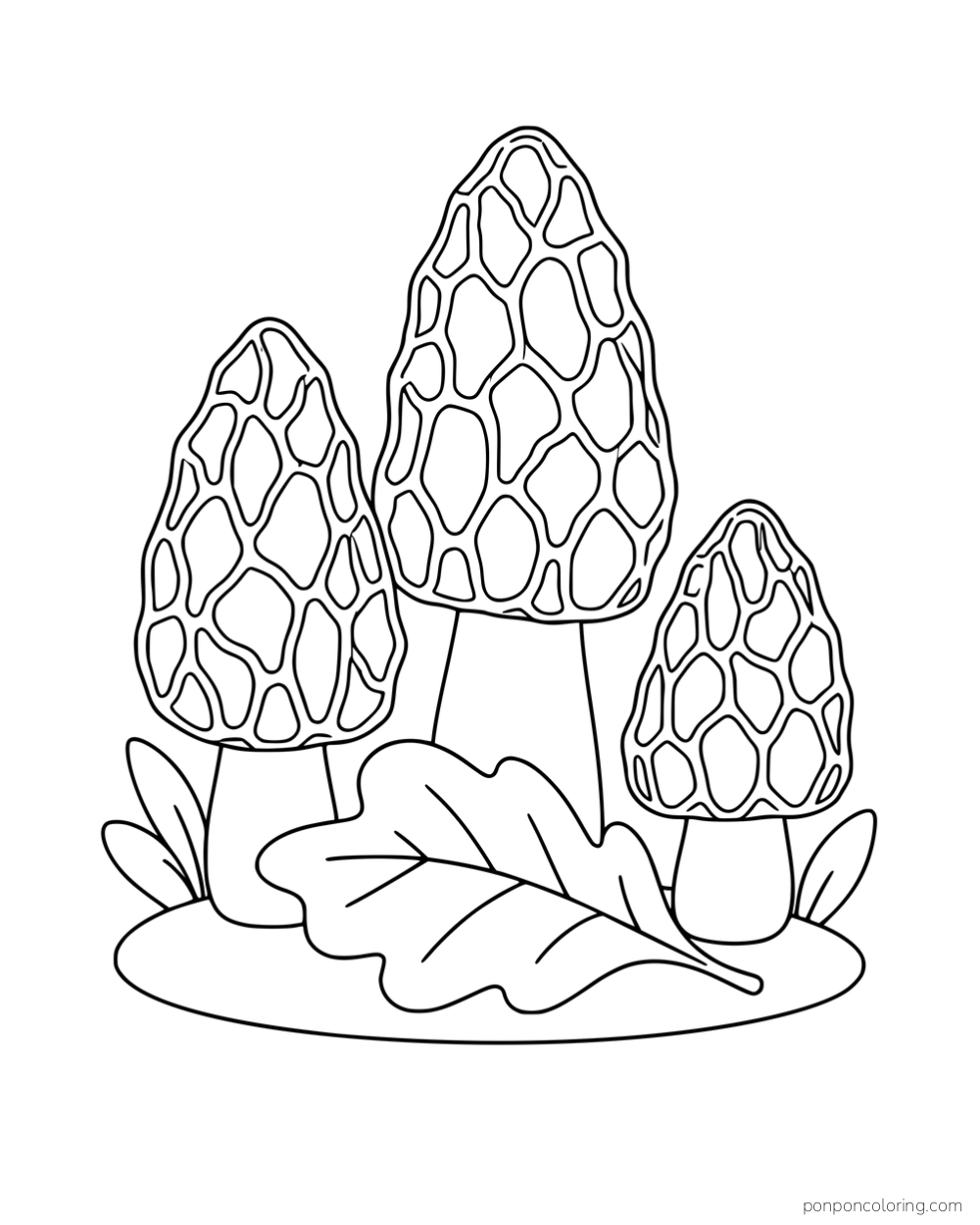 Three morels with tall pitted caps beside a broad fallen leaf.