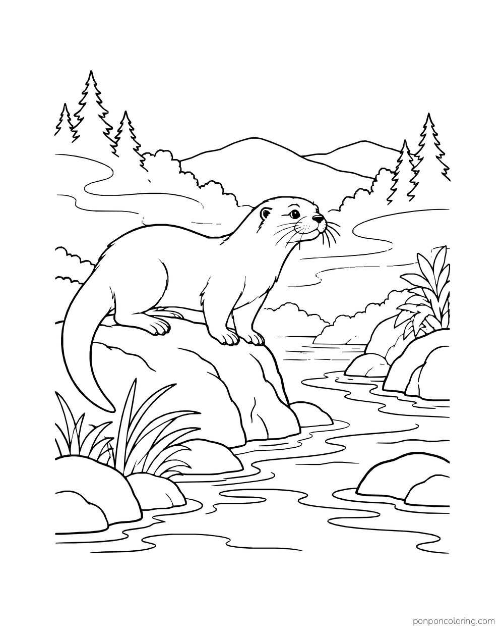 Otter looking across a winding mountain stream from a large rock.