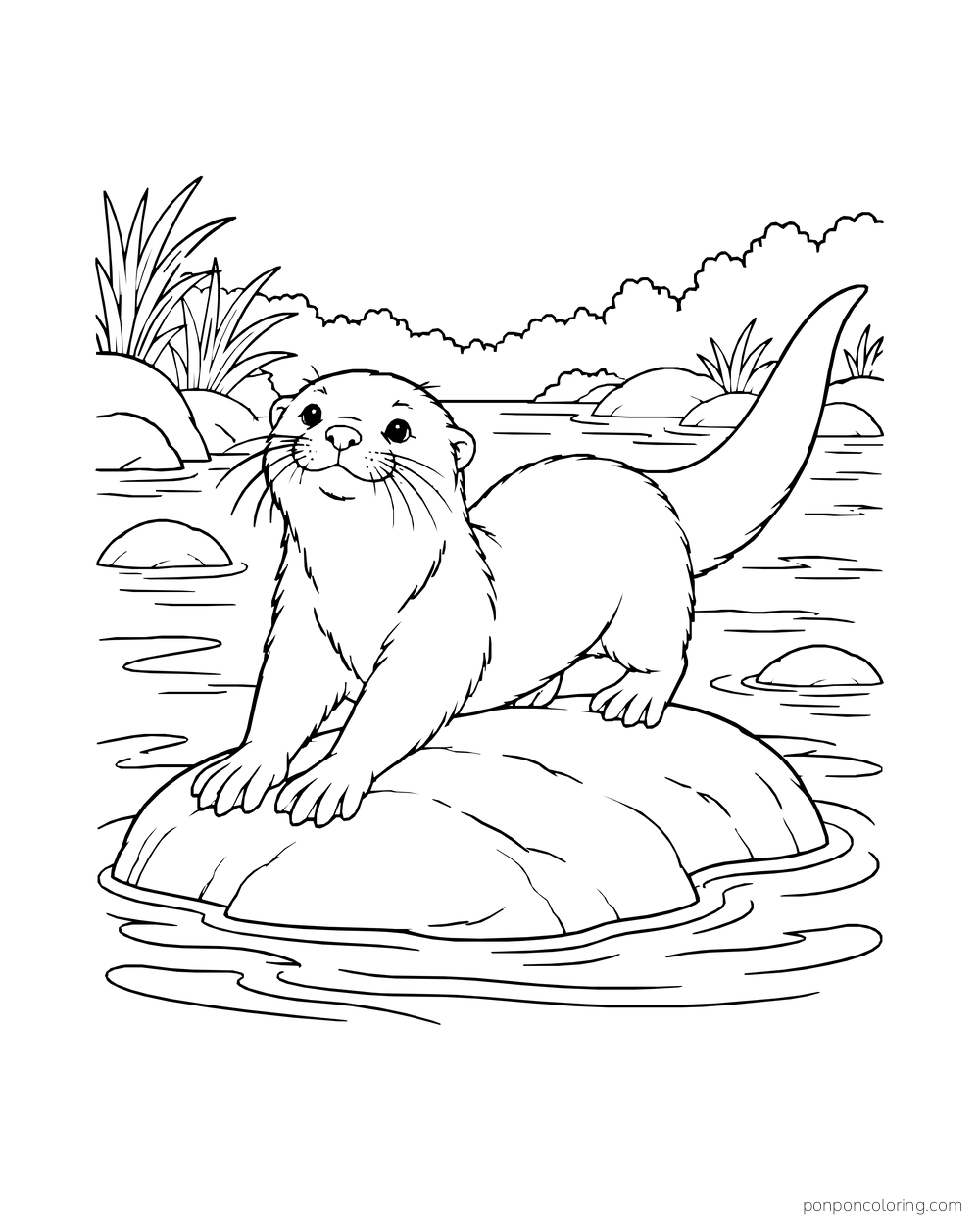 Otter stretching its front paws on a broad rock in a shallow river.