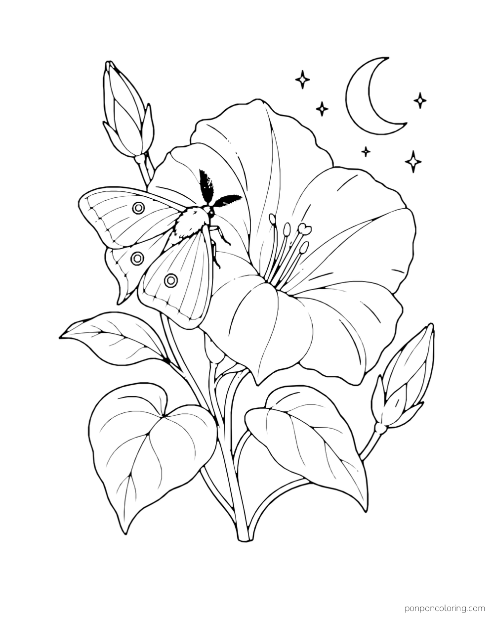 A moth rests on a large moonflower beside buds, leaves, a crescent moon, and small stars.