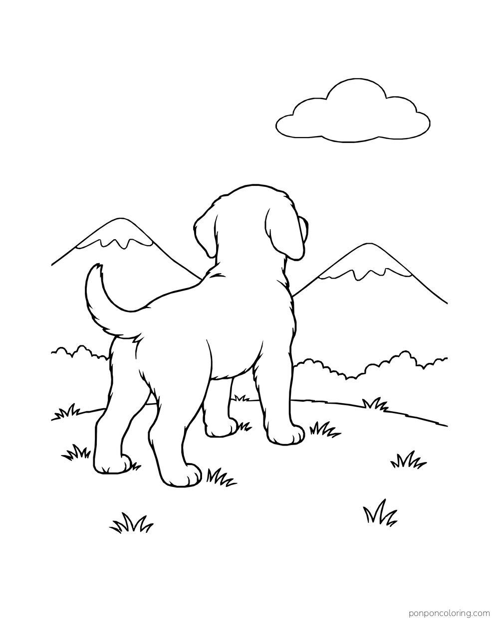 A puppy faces rounded mountains from a low grassy lookout beneath one cloud.