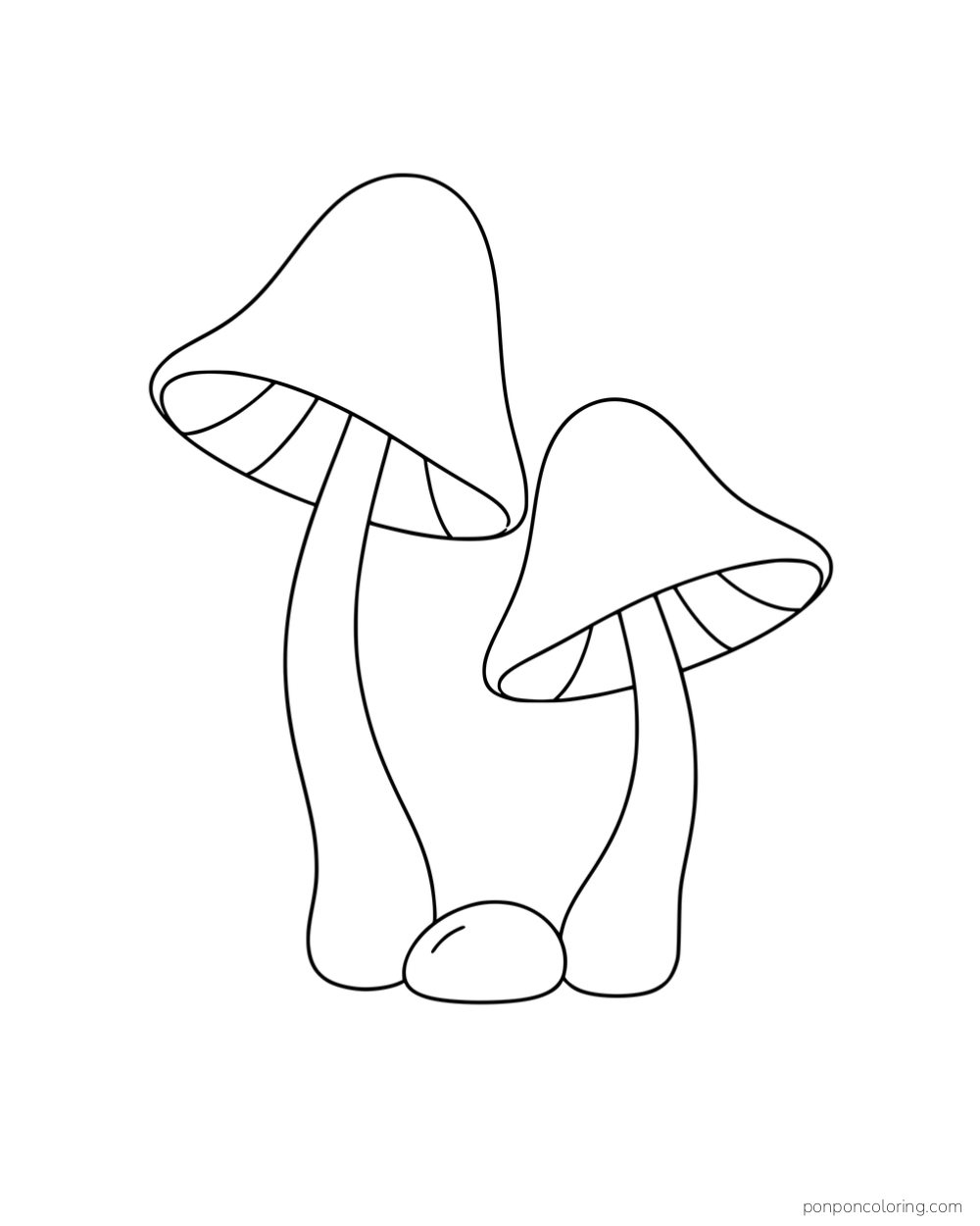 Two tall bell-shaped mushrooms leaning in opposite directions beside a pebble.