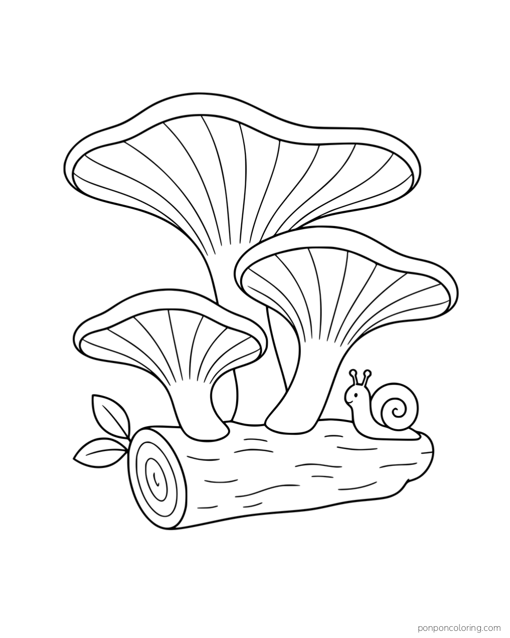 Three funnel-shaped mushrooms growing from a log beside a snail and leafy sprig.