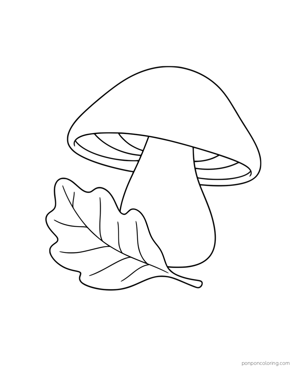 A plain mushroom beside a large fallen leaf.