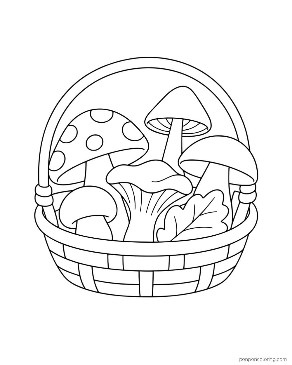 A handled basket filled with mushrooms of different cap shapes and a large leaf.