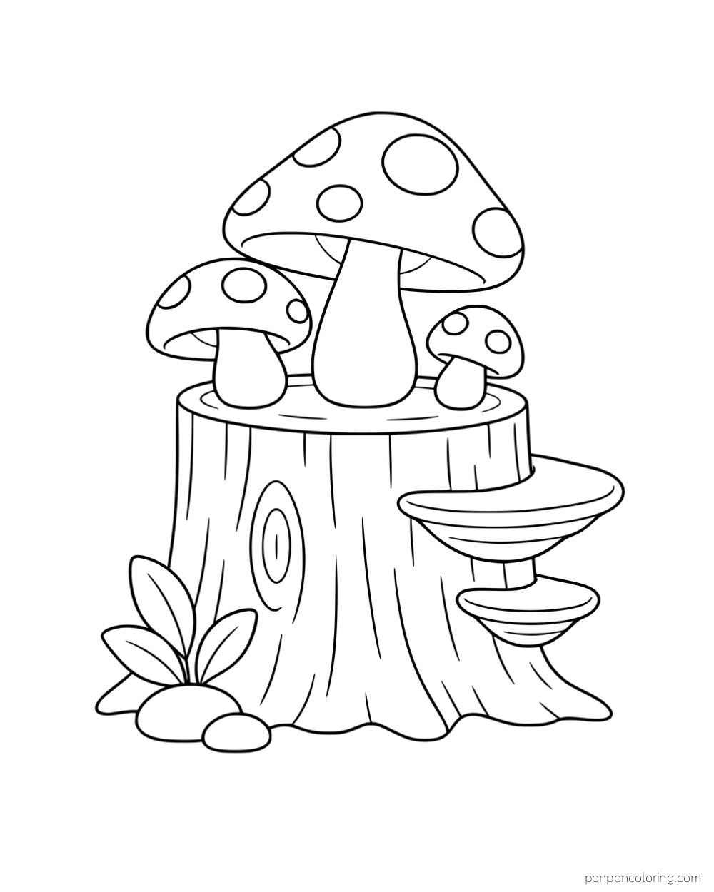 Three mushrooms on a stump with two shelf-shaped fungi growing from its side, with leaves and pebbles below.