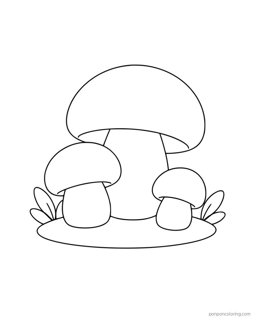 Three round plain mushrooms on an oval patch with leaves at the sides.