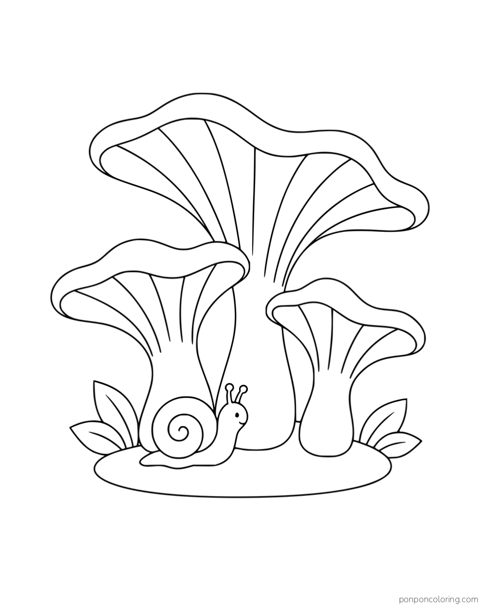 Three wavy funnel-shaped mushrooms with a snail and leaves on an oval patch.