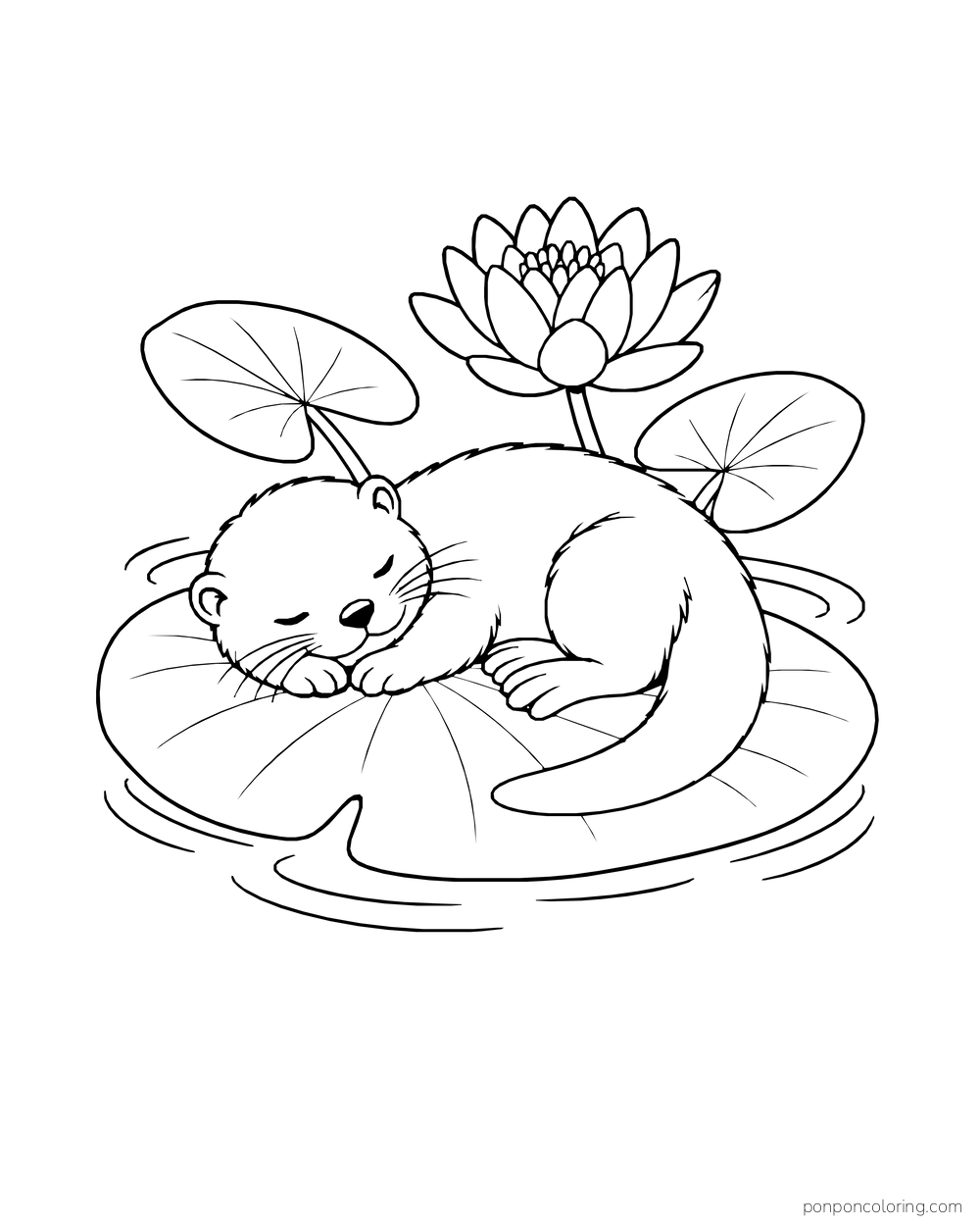 Small otter asleep on a large lily pad beside an open lotus flower.