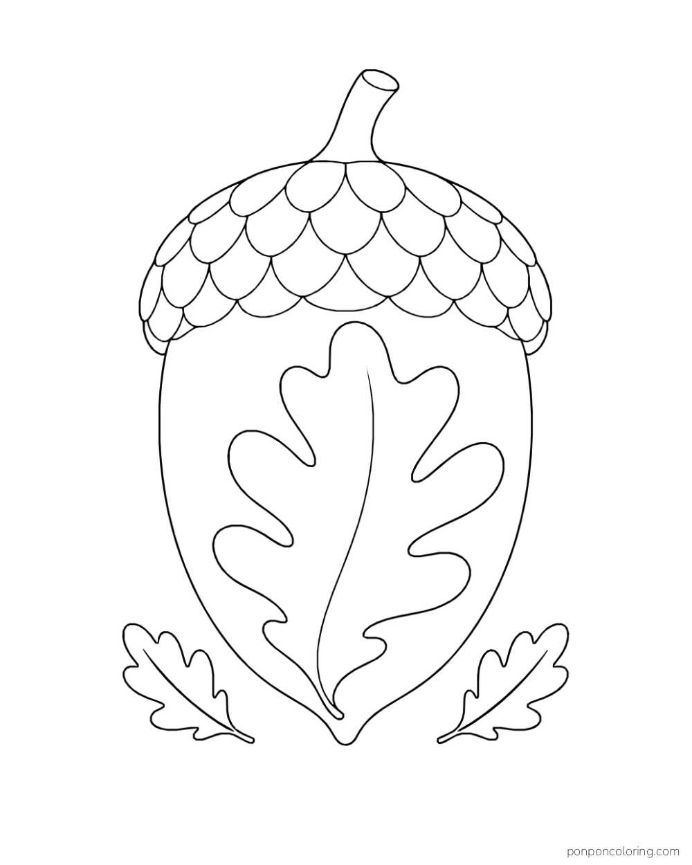 A large upright acorn contains an oak leaf outline on its smooth nut body, with two small leaves below.