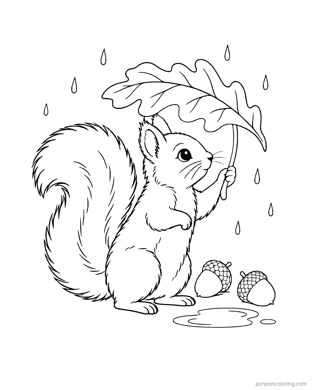A squirrel holds an oak leaf over its head beside two acorns, raindrops and a small puddle.