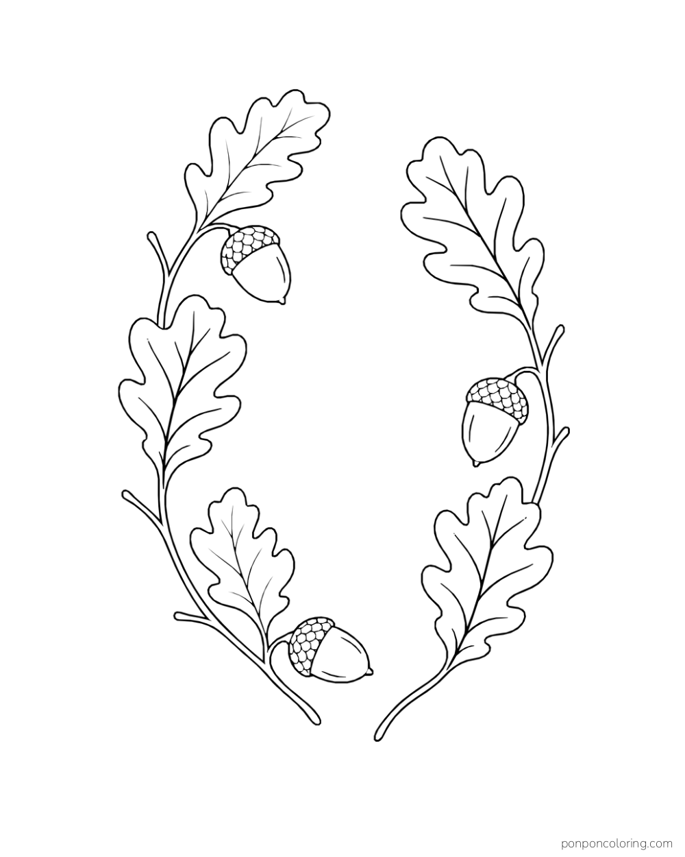 Two curved oak sprigs make an open oval with three acorns and broad lobed leaves.